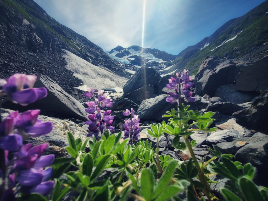 Byron Glacier